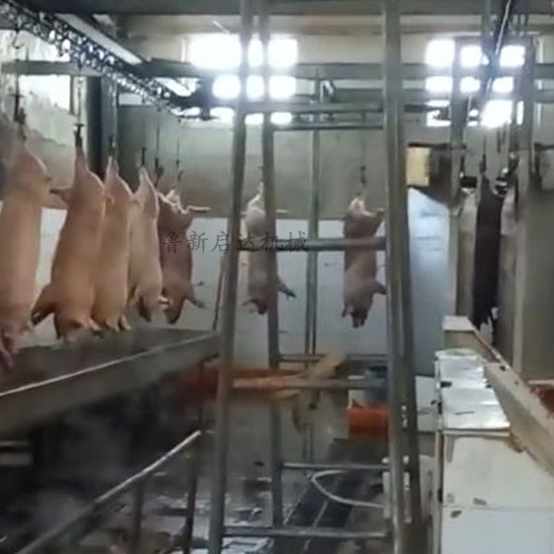 生豬活掛機結構