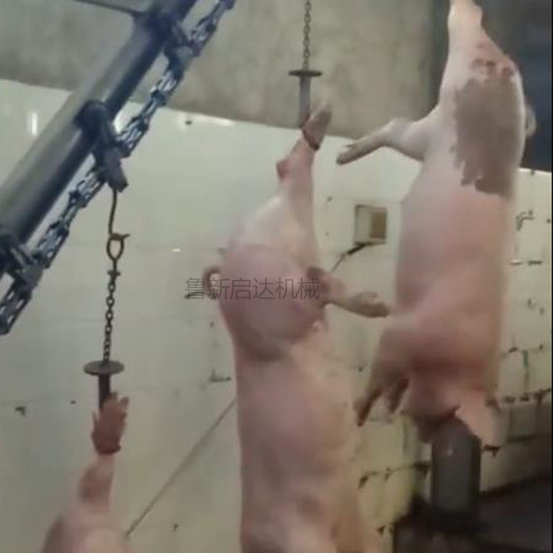 毛豬活掛機(jī)簡(jiǎn)介 毛豬活掛機(jī)簡(jiǎn)介